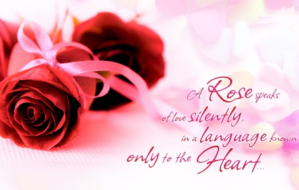 Красные розы и красивые слова о любви