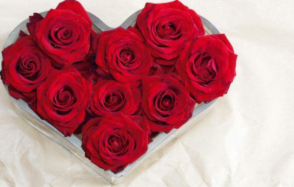 Красные розы в виде признания в любви