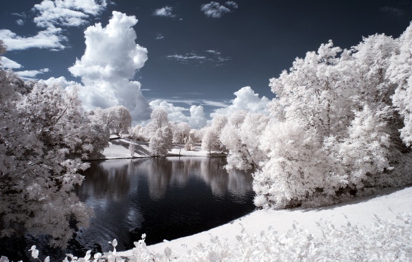Заснеженный парк в Норвегии 