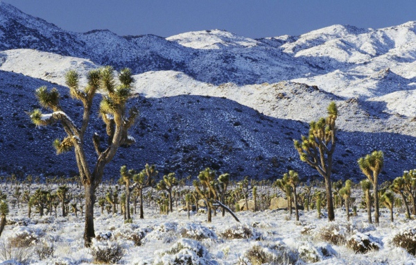 Покрытая снегом пустыня