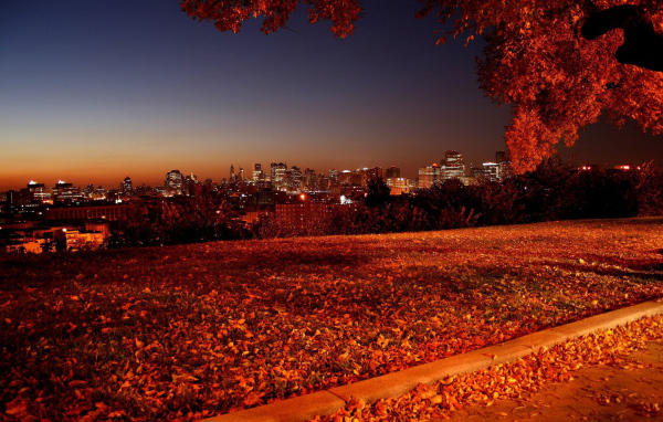 Осенняя ночь в городе