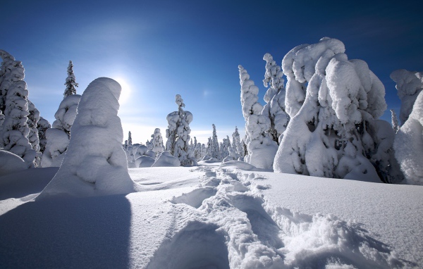 Зима в Финляндии 