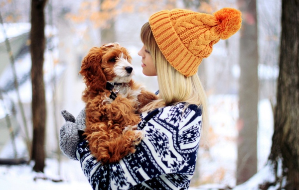 	   Girl in a red sweater with a dog