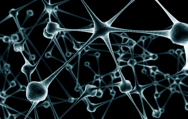 Связи нейронов в мозге