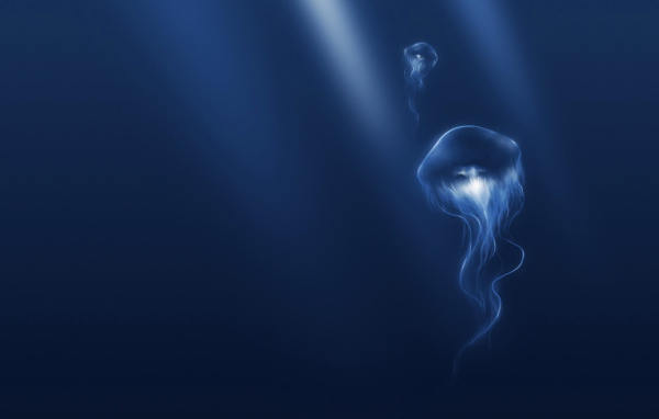 Медузы в синем океане