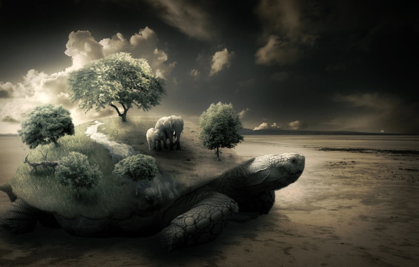 Слоны на черепахе на берегу моря