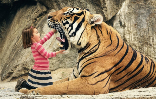 Девочка смотрит в пасть тигра