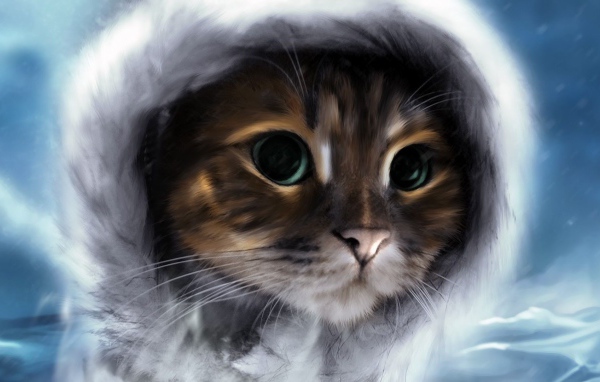 Cat in a fur hood