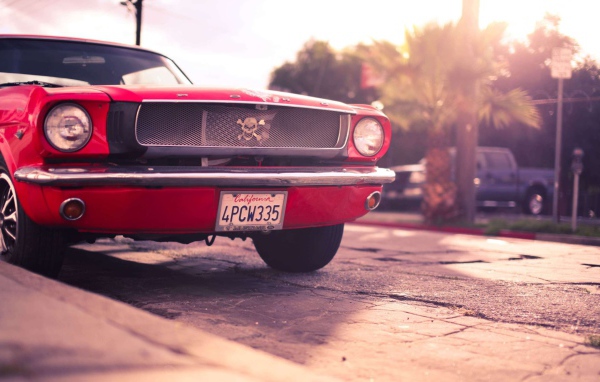 Череп на решетке автомобиля Ford Mustang