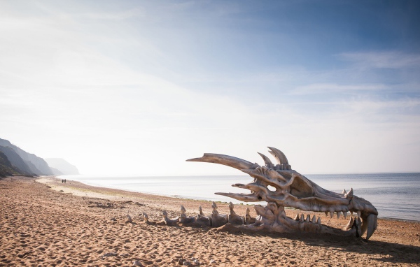 Череп дракона на пляже