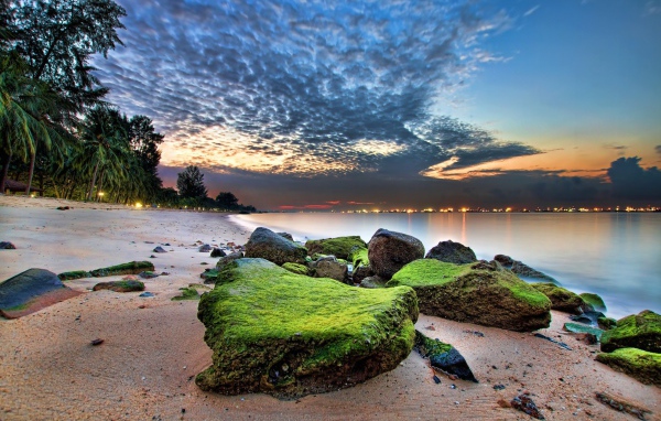 Зеленые камни на песке пляжа
