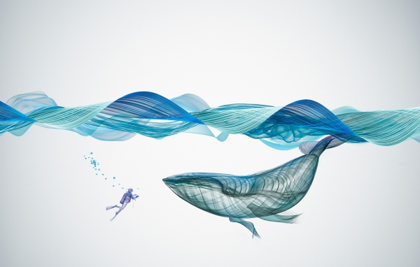 Большой кит и водолаз под водой 3д графика
