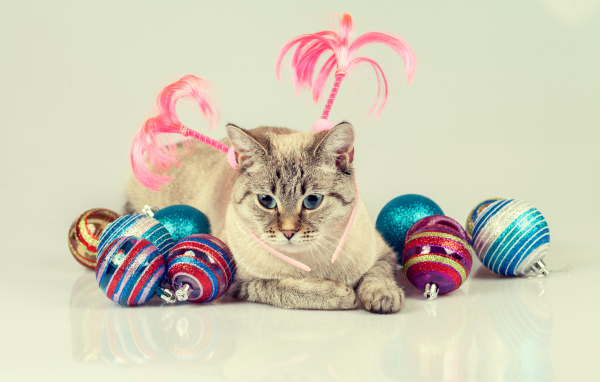 Серый кот с красивыми разноцветными новогодними шариками