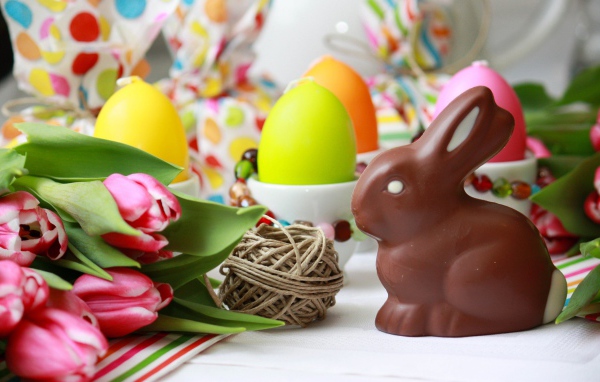 Шоколадный пасхальный кролик и тюльпаны 