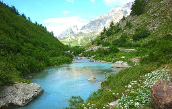 Горная река меж зеленых берегов 