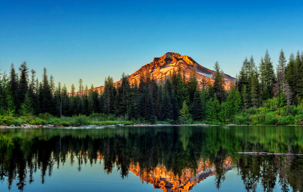 Сосновый лес и гора отражаются в воде, Йосемитский национальный парк. Калифорния 
