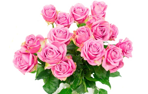 Красивый большой букет розовых роз на белом фоне