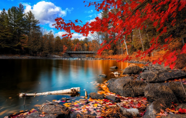 Осенний лес отражается в спокойной воде озера