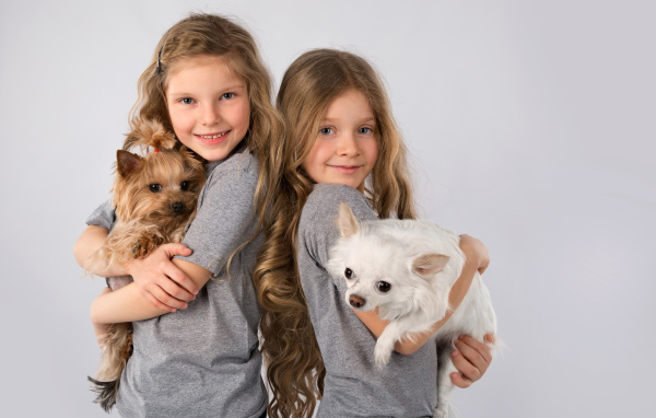 Две маленькие девочки с собачками на руках на сером фоне
