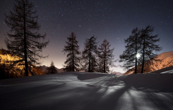 Ночь в заснеженном лесу 