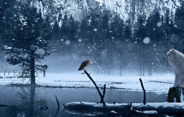 Белый волк и сова на зимней реке 