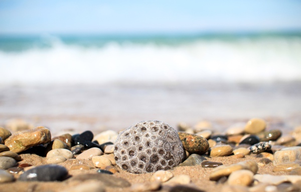 Разные камни лежат на желтом песке у моря 