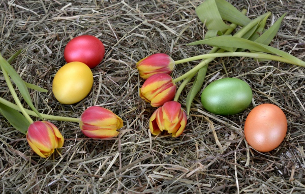 Крашеные яйца с тюльпанами на сене на праздник Пасха 2021