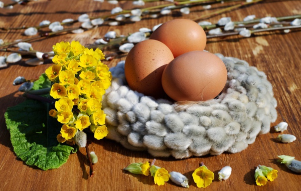 Три яйца с желтыми цветами и вербой