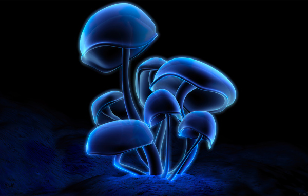 Синие светящиеся грибы на черном фоне