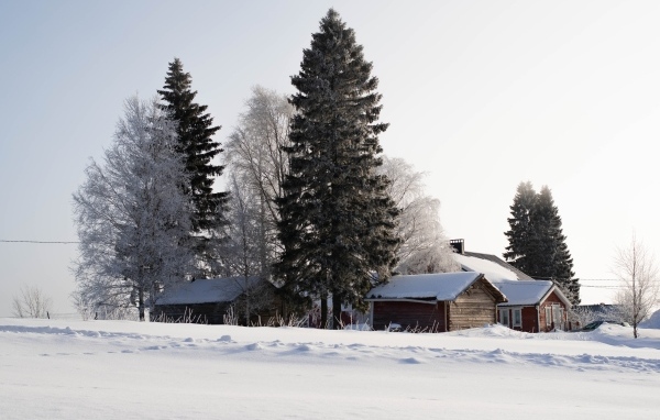 Заснеженные деревья и дома зимой