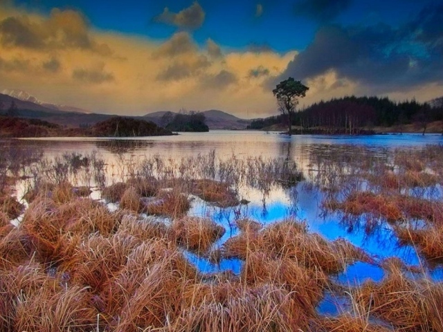 Шотландское болото