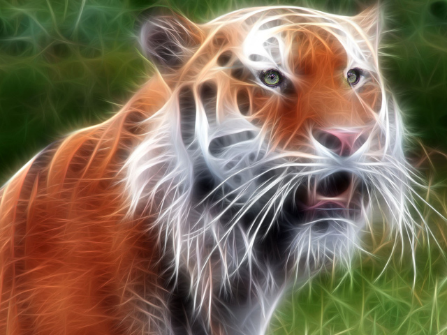 Красавец тигр