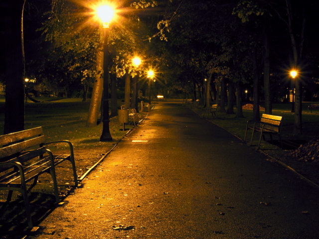 Night avenue