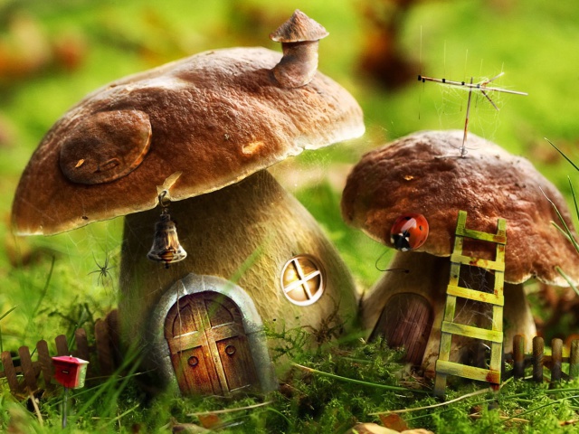 http://www.zastavki.com/pictures/640x480/2012/Drawn_wallpapers_Mushroom_houses_016300_29.jpg