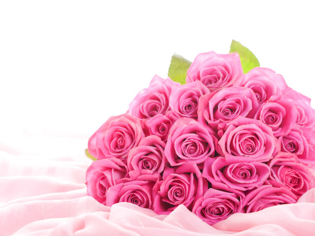 http://www.zastavki.com/pictures/640x480/2012/Nature_Flowers_pink_Roses_033534_29.jpg