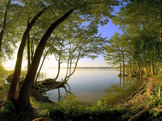 http://www.zastavki.com/pictures/640x480/2012/Nature_Forest_On_the_lake_018182_29.jpg