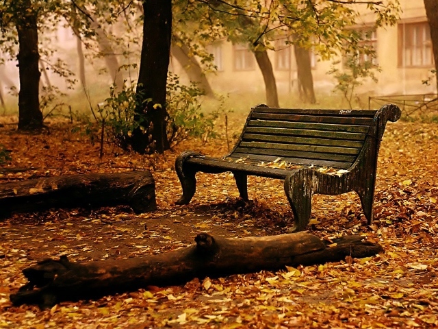 An old bench in the autumn Park