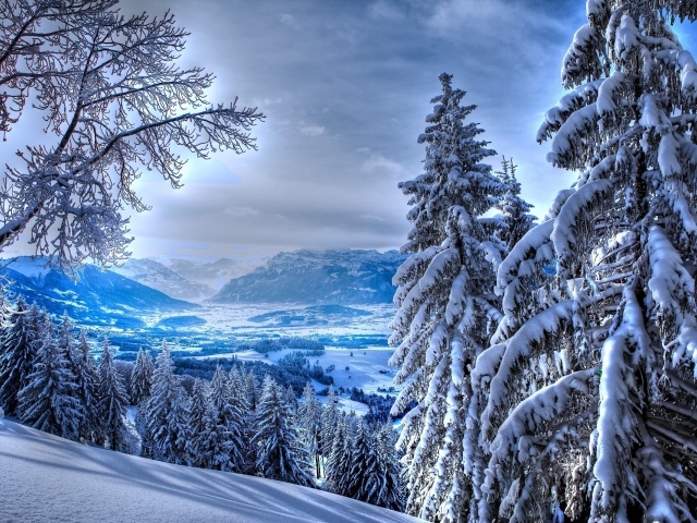 Обои для рабочего стола - природа Winter_Winter_in_mountains_037250_29