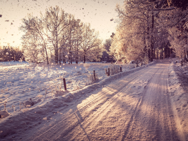 Country Road in the Winter wallpapers Country Road in the Winter stock photos
