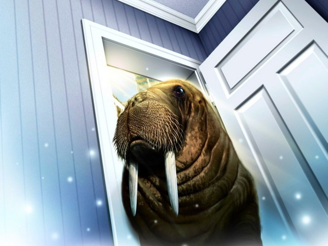 	   Walrus came into the house