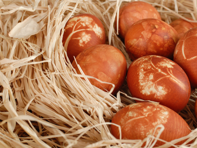 Гнездо с яйцами на Пасху