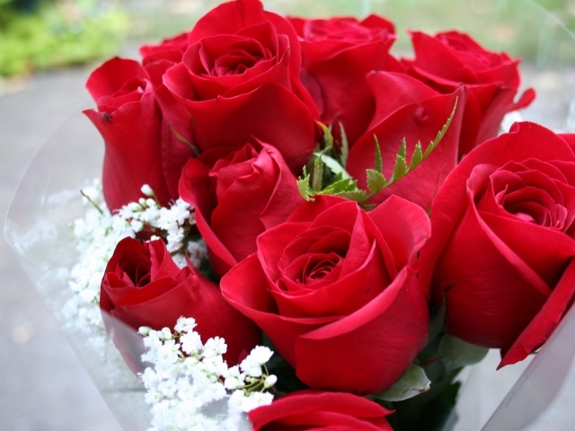 Beautiful bouquet of red roses on March 8 wallpapers and ...