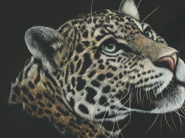 Нарисованная морда леопарда