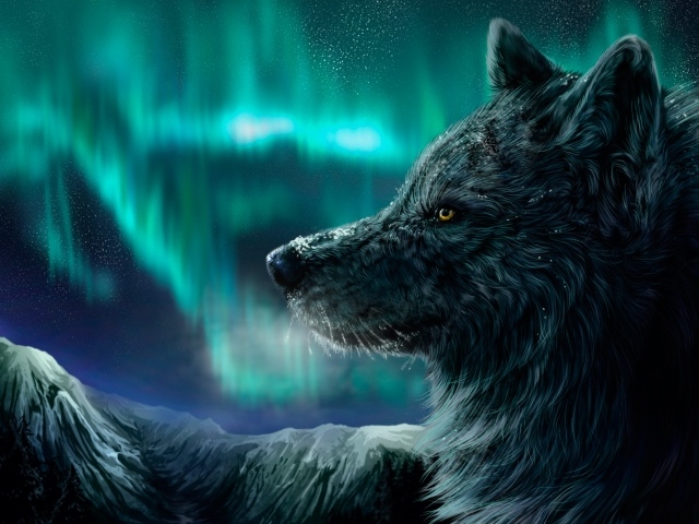 Beautiful black wolf in the background of aurora borealis, fantasy
