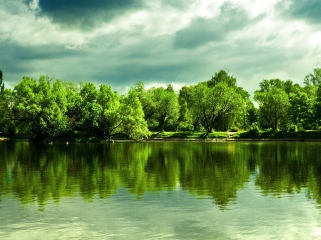 Зеленые деревья отражаются в глади  озера 