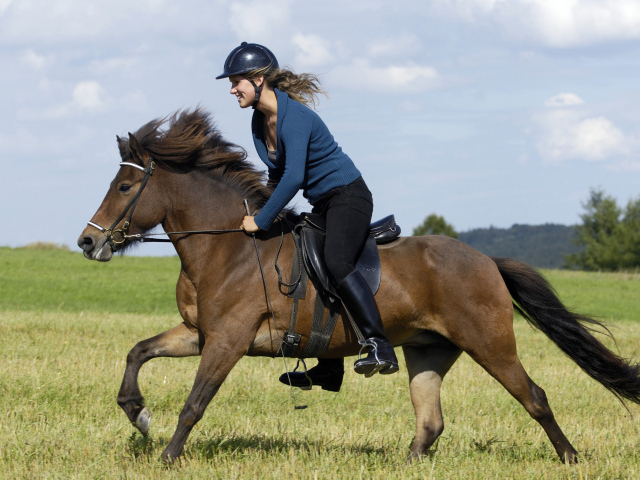 Молодая девушка в шлеме скачет на коричневой лошади