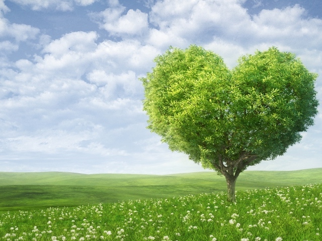 A green tree in the shape of a heart against a beautiful sky