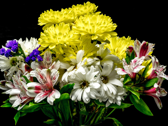 Букет разноцветных хризантем с цветами альстромерия на черном фоне