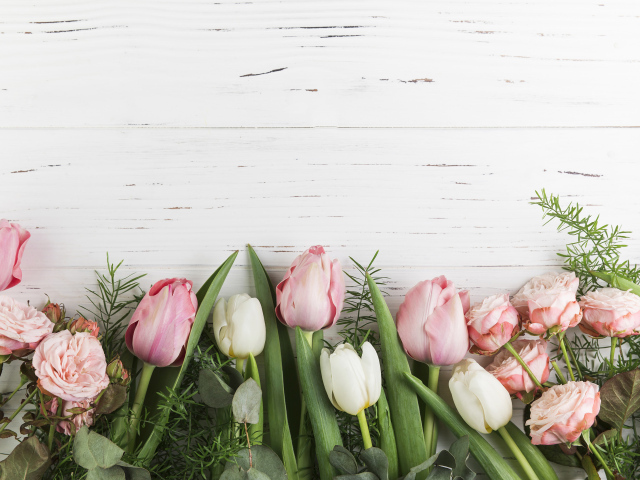 Розовые тюльпаны и розы на белом фоне