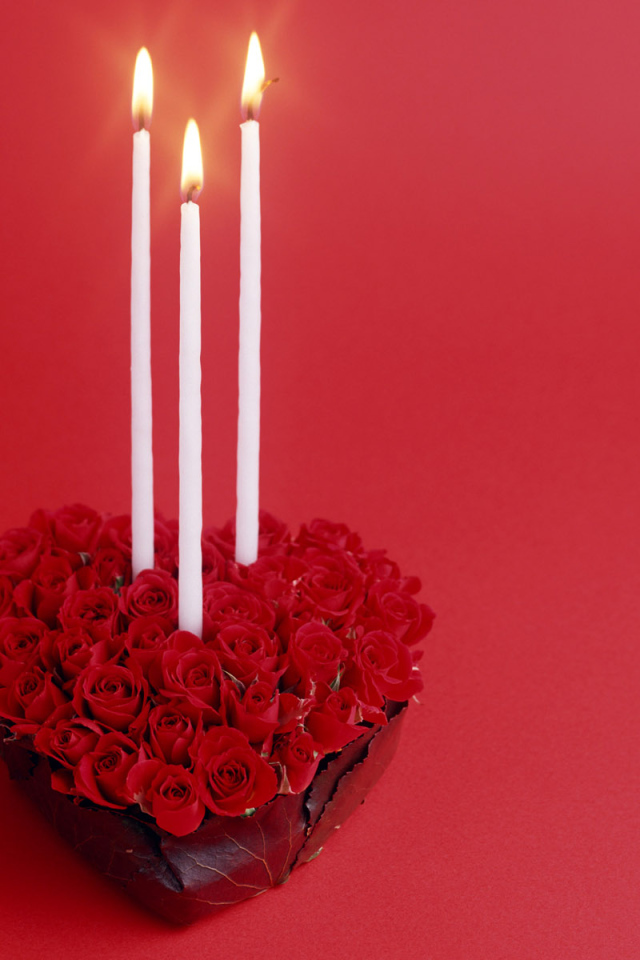 Красные розы в День Святого Валентина